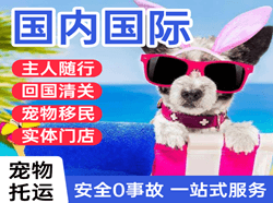 东河航空托运国际宠物托运 【国